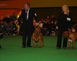 Neesha Crufts 2014