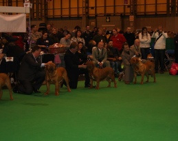 Neesha Crufts 2014