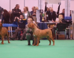 Neesha Crufts 2014