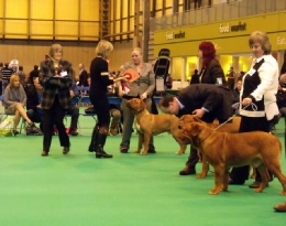 Neesha Crufts 2014