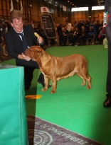 Neesha Crufts 2014